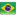Brazil Flag